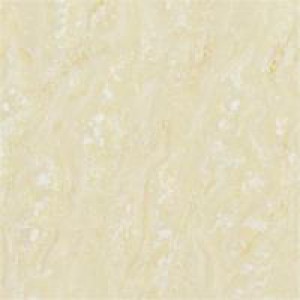 Gạch Trường Thịnh SIMPLICITY JP8883